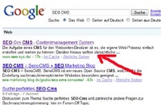 SEO CMS